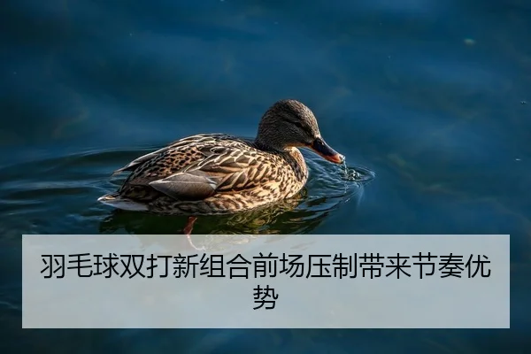 羽毛球双打新组合前场压制带来节奏优势